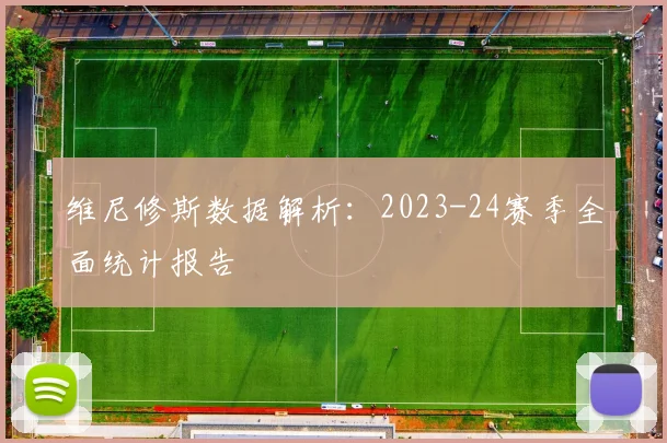 维尼修斯数据解析：2023-24赛季全面统计报告