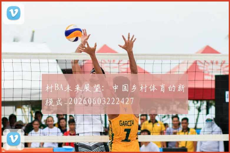 村BA未来展望:中国乡村体育的新模式_20260603222427