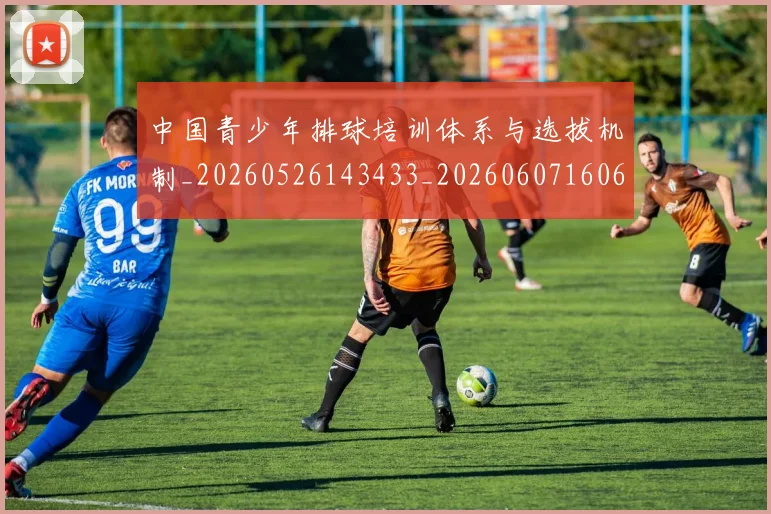 中国青少年排球培训体系与选拔机制_20260526143433_20260607160650